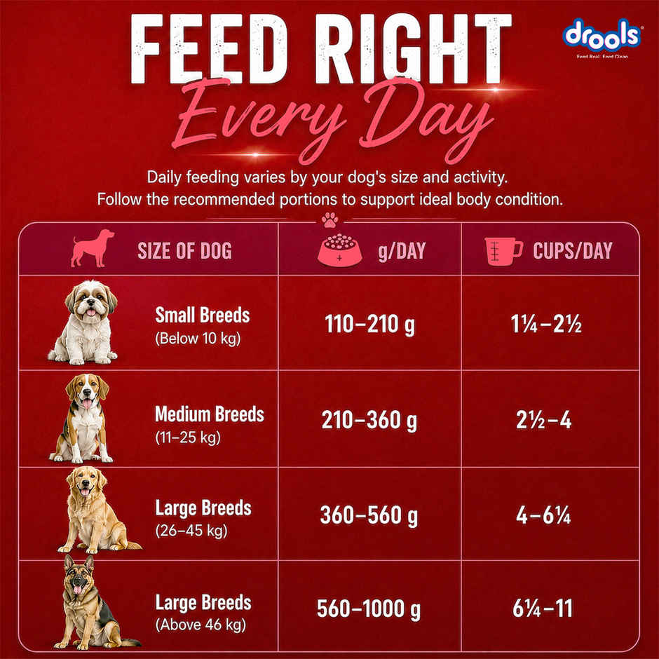 Drools Lamb and Rice Adult Dry Dog Food 1 kg