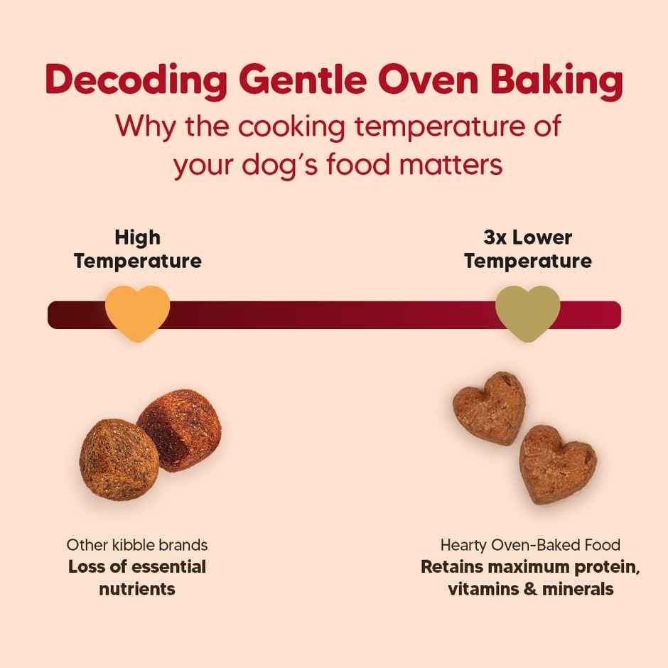 Hearty Oven-Baked Dry Food For Adult Dogs With Chicken, Duck & Brown Rice - All Breed