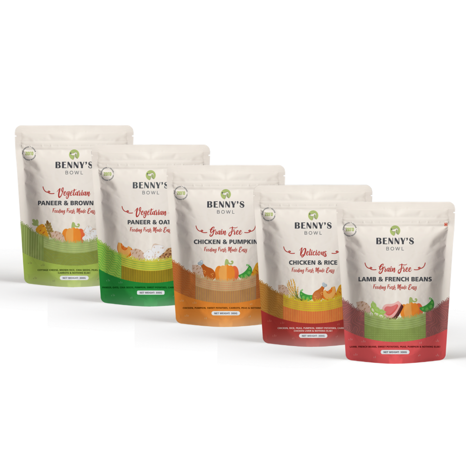 Benny's Bowl Fresh & Wet Dog Food - Trial Pack