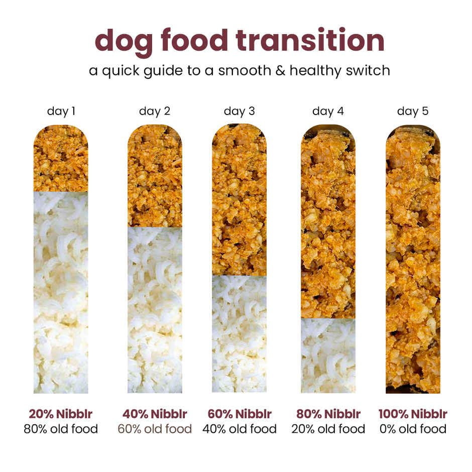 Nibblr By Nootie Fresh Chicken Biryani Wholesome Meal | Chicken Liver & Rice Dog Wet Food 300gm