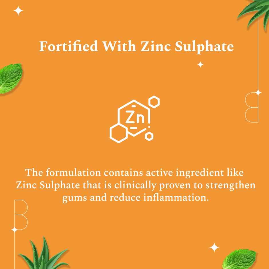 Perfora Dream Protect Earl Grey Toothpaste For Strong Gum Protection