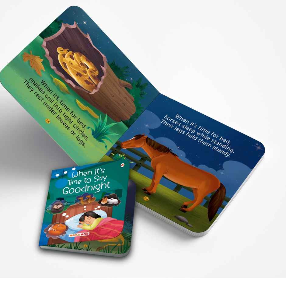 Maple Press When It's Time to Say Goodnight | Illustrated Board Book for Kids | Bedtime Stories | Age 2+ Years