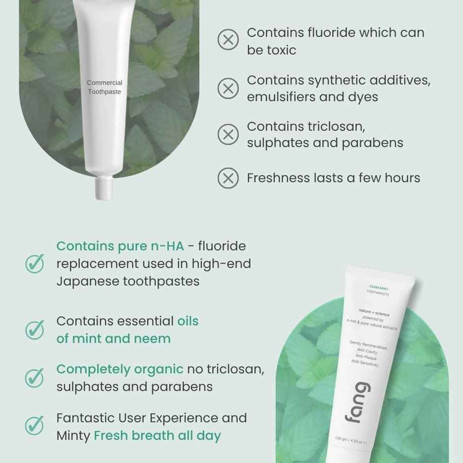 Fang Farm Mint Toothpaste