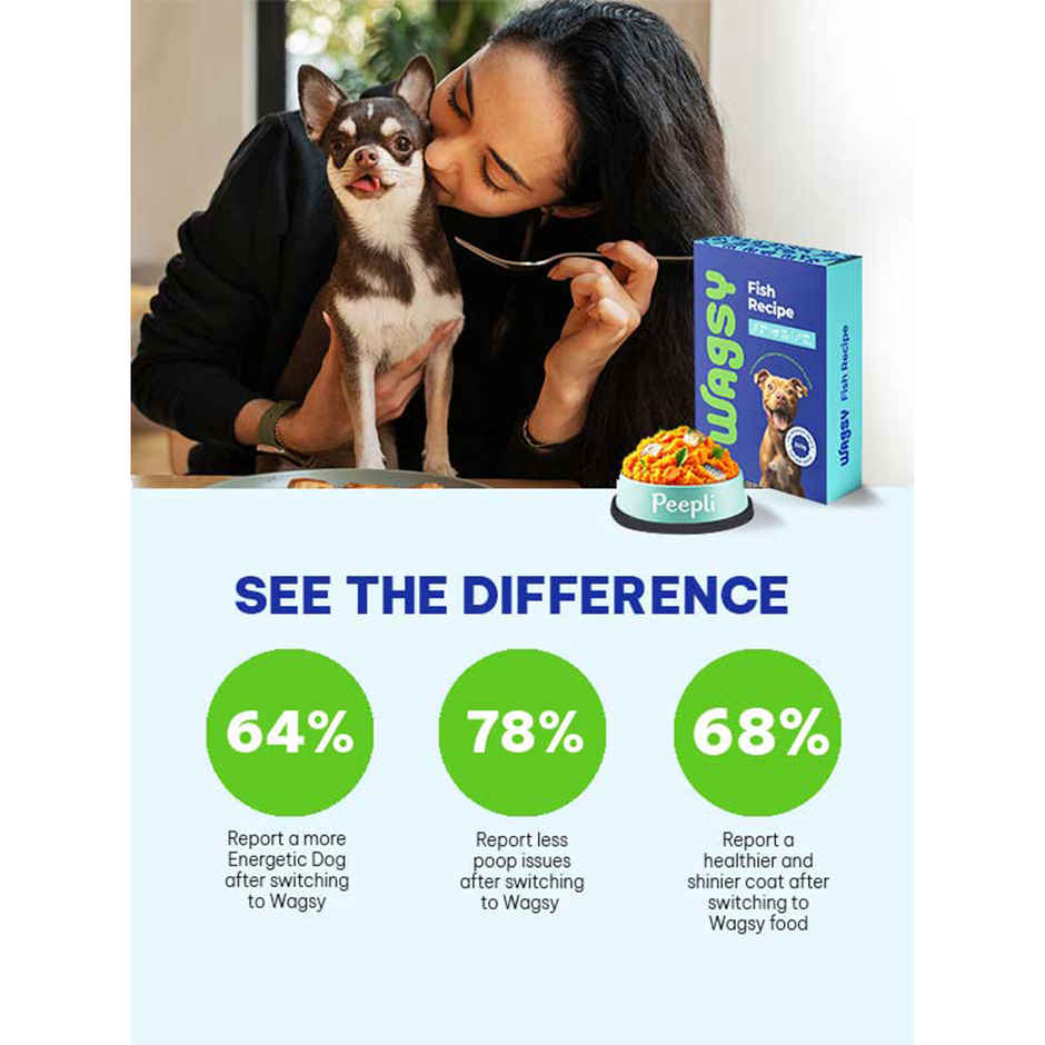 Wagsy - Fish Recipe | Fresh Wet FOOD For Dogs