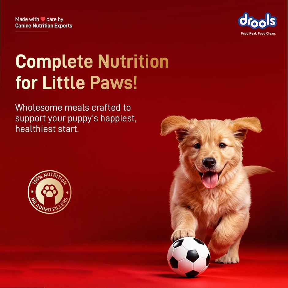 Drools Meat and Milk Puppy Dry Dog Food 1 kg