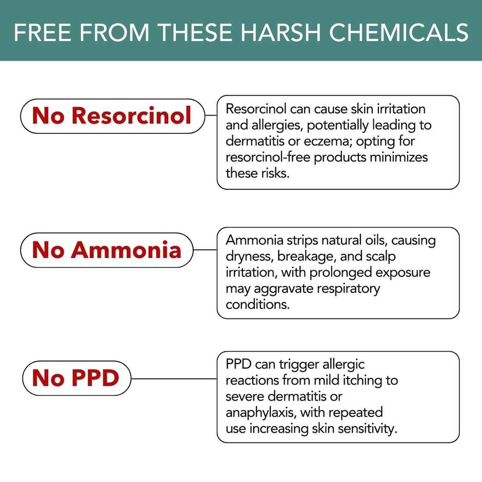 Paradyes Timeless Hair Tint Free of Ammonia, PDD & Resorcinol Hair Color | Rich Burgundy 3.16