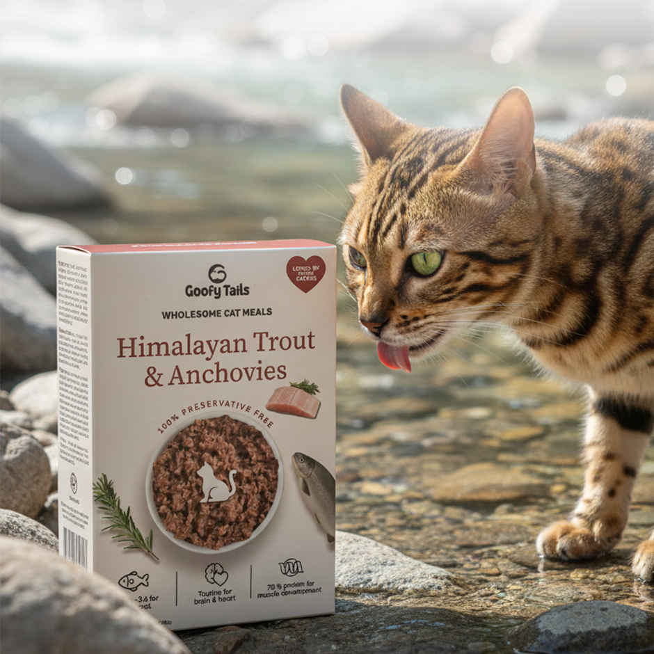 Goofy Tails Himalayan Trout & Anchovies Cat and Kitten Meals | Cat and Kitten Wet Food