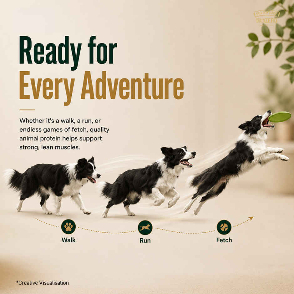 Signature Grain Zero Adult Dry Dog Food | Real Chicken, Eggs, and Vegetables