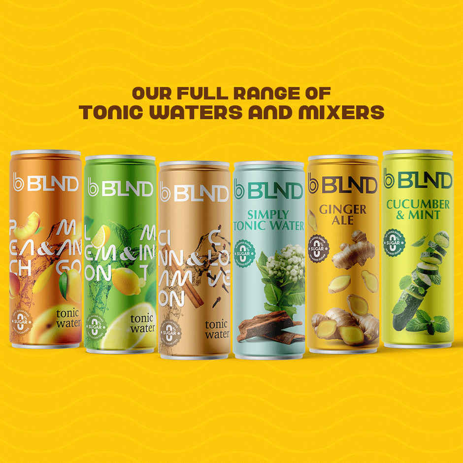BLND Ginger Ale Mixer