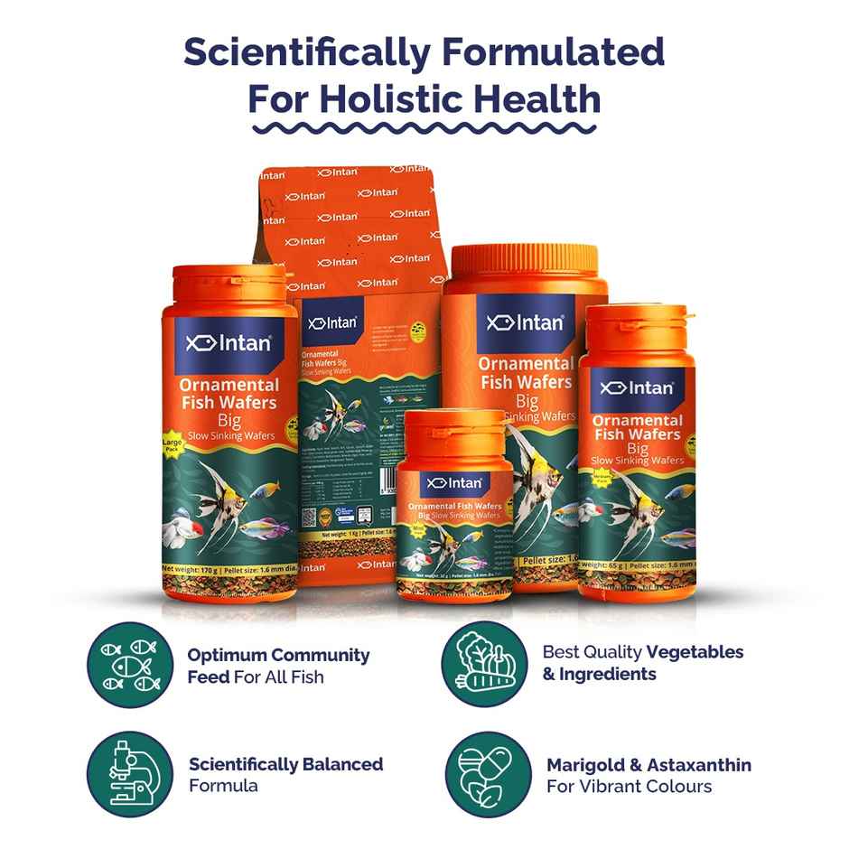 Intan Ornamental Fish Wafers - Fish FOOD for Angels | Gouramis | Goldfish | Barbs | Rainbows
