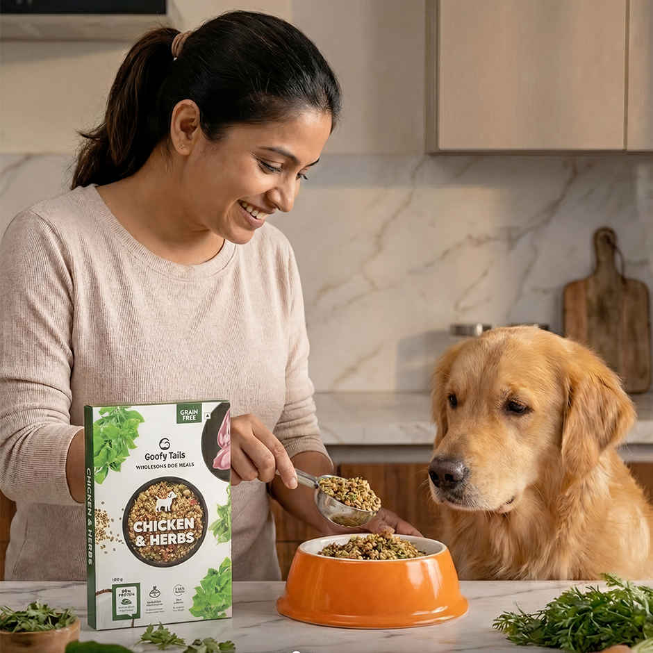 Goofy Tails Chicken & Herbs Fresh Dog Food | Grain and Gluten Free | Dog and Puppy Food