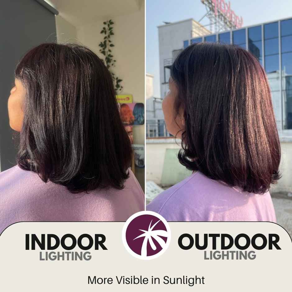 Paradyes Timeless Hair Tint Free of Ammonia, PDD & Resorcinol Hair Color | Rich Burgundy 3.16