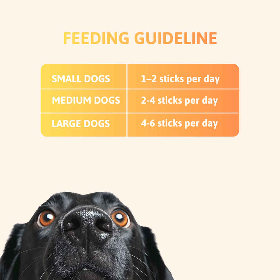 Bearhugs Chicken & Pumpkin Sticksdog Treat