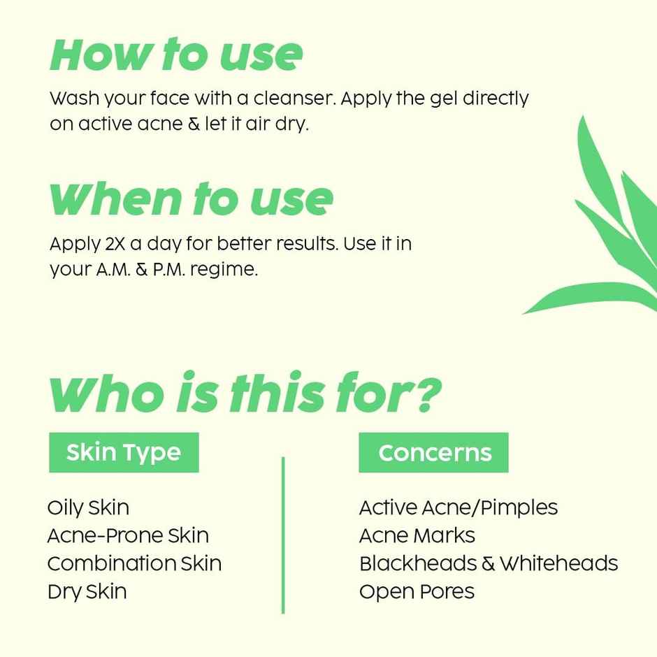 Plix The Plant Fix Jamun Acne Spot Corrector Gel For Active Acne | Quick Fix For Blemishes