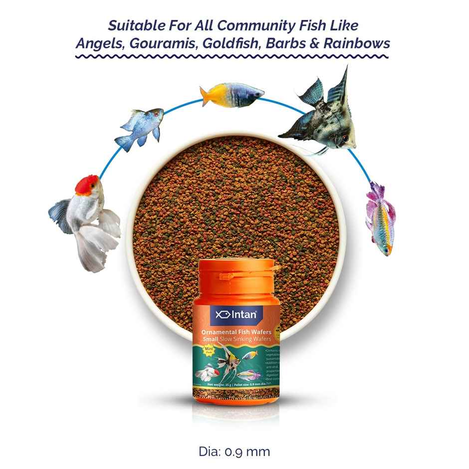 Intan Ornamental Fish Wafers - Fish FOOD for Angels | Gouramis | Goldfish | Barbs | Rainbows