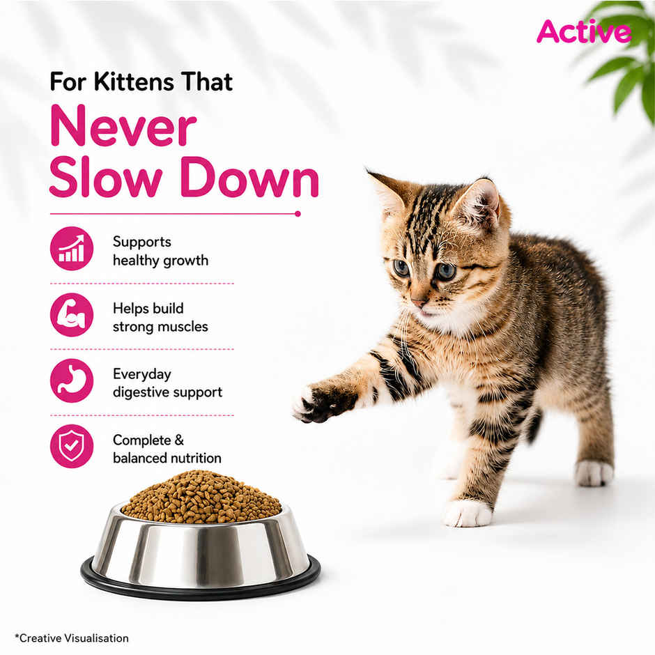 Active Ocean Fish Dry Kitten Cat Food | Buy 1 Get 1 Free