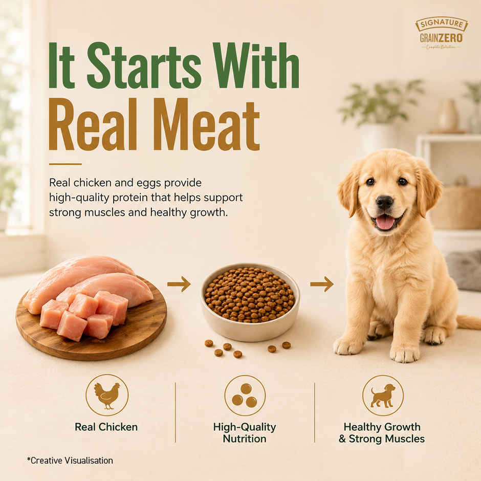 Signature Grain Zero Puppy and Mother Dry Dog Food | Real Chicken, Eggs, and Vegetables