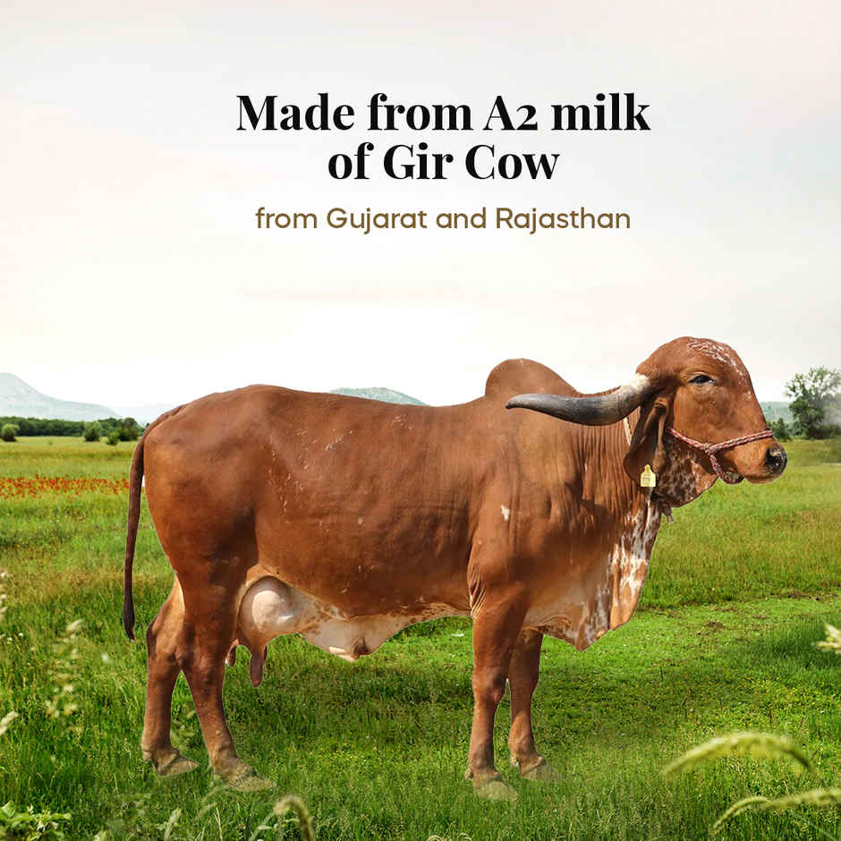 Himalayan Natives A2 Gir Cow Ghee