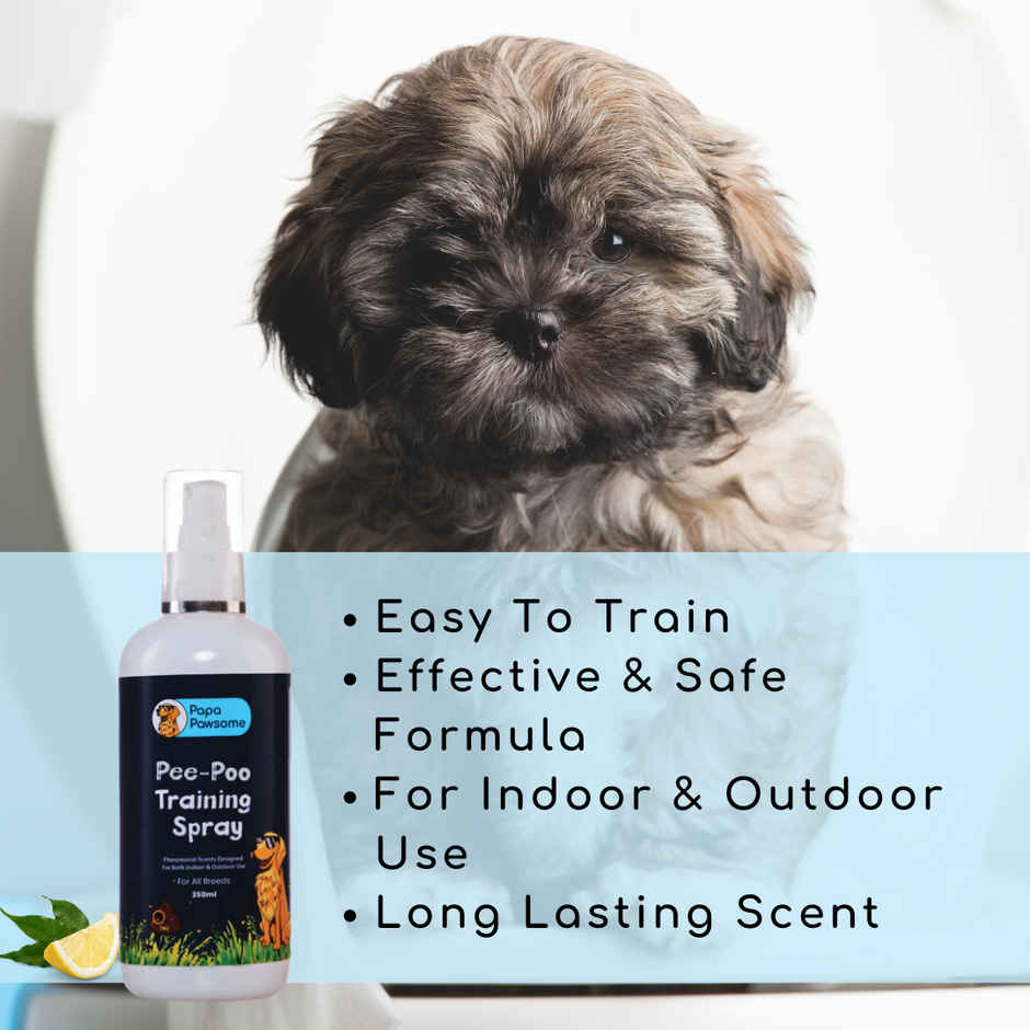 Papa Pawsome Potty Training Spray