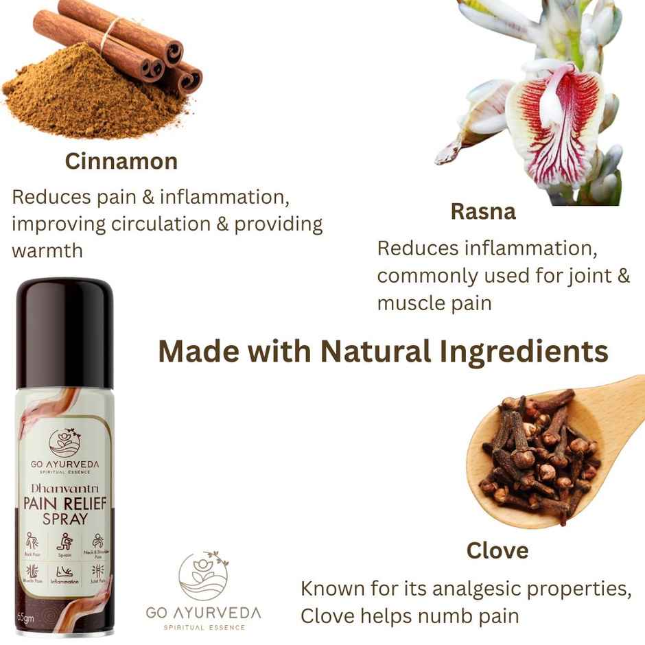 Go Ayurveda Dhanvantri Pain Relief Spray For Joint, Muscle & Back Pain|With Clove & Cinnamon