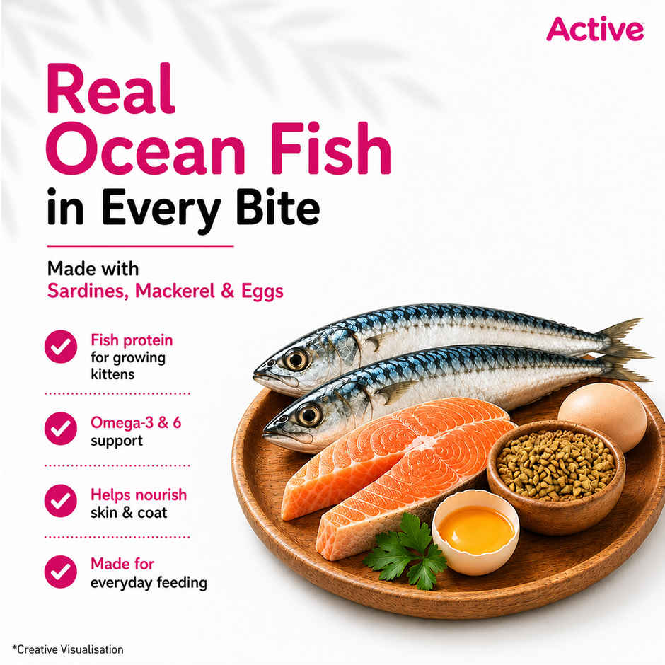 Active Ocean Fish Dry Kitten Cat Food | Buy 1 Get 1 Free