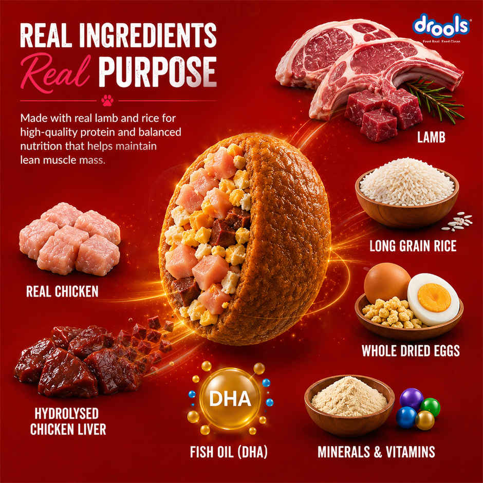 Drools Lamb and Rice Adult Dry Dog Food 1 kg