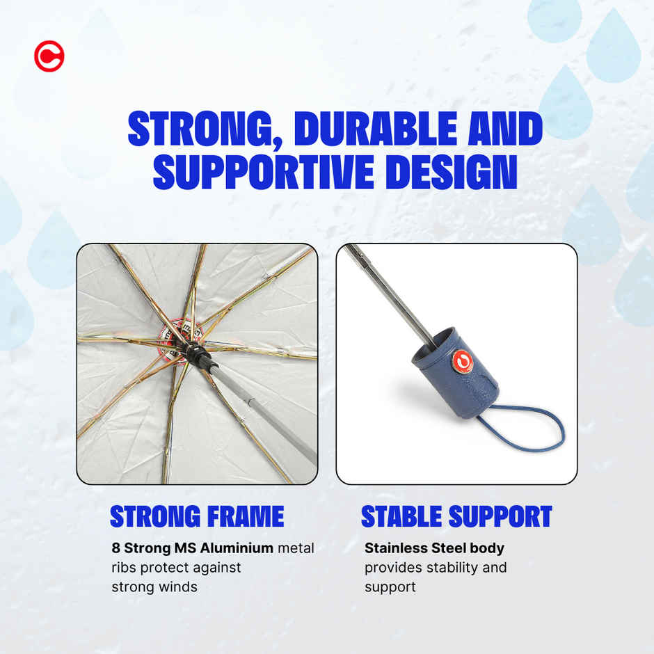 Citizen 3 Fold 22 Inch Auto Royal Blue Mono Silver Umbrella