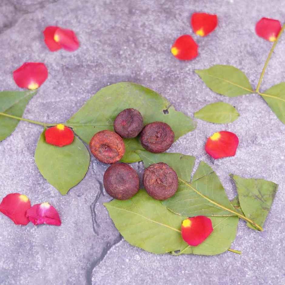 Lal Supari (Betel Nut/Areca Nut) for Pooja | Kalash & Puja Samagri | ServDharm