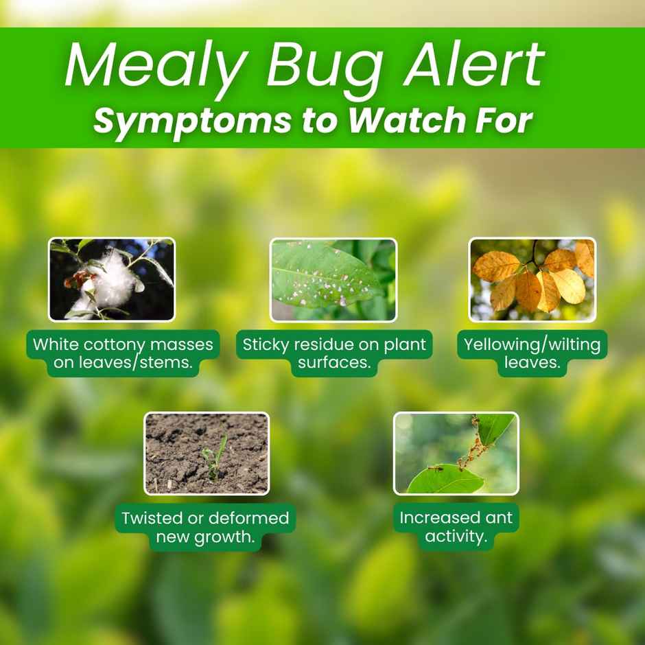 Home-Secure Plant Guard Insect Repellent Spray