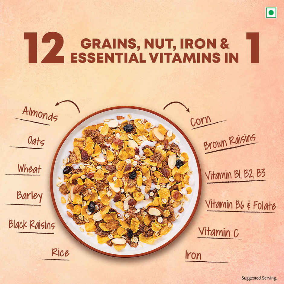 Kellogg's Muesli Nuts Delight 12-in-1 Power Breakfast