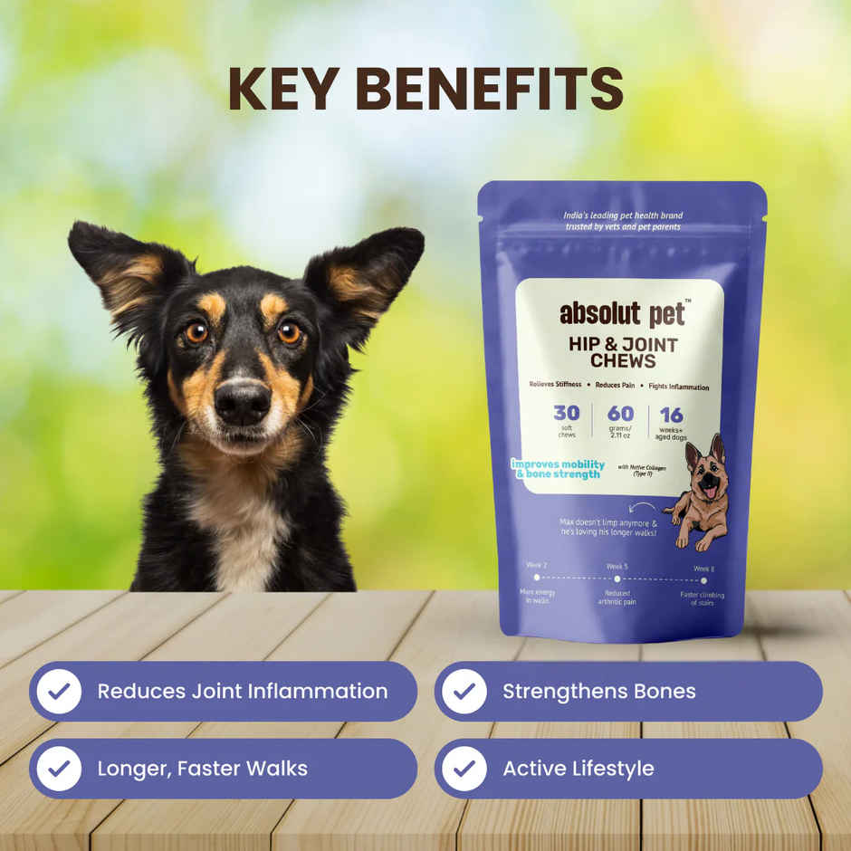 Absolut Pet Hip and Joint Supplements for Dogs | Chews for Mobility & Bone Strength | Glucosamine, Chondroitin & Collagen | 30 Chews