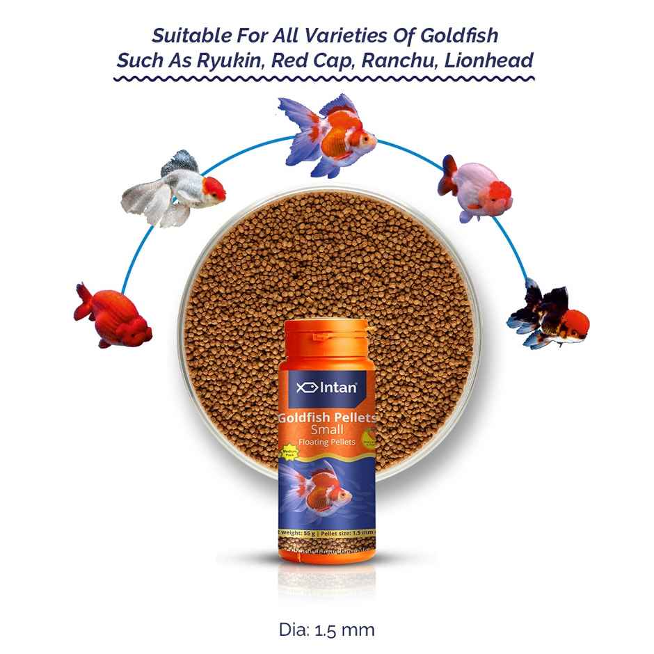 Intan Goldfish Pellets - Fish FOOD for all Goldfish - Ryukin | Red Cap | Ranchu | Lionhead