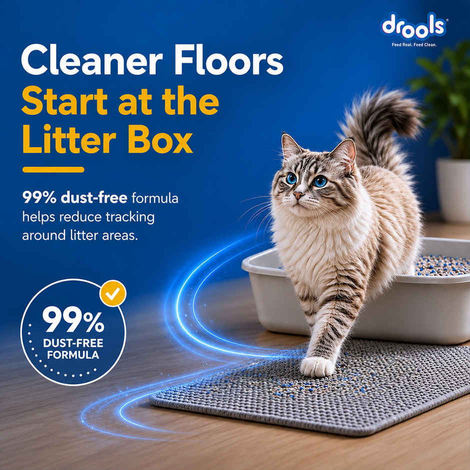 Drools Clumping Lavender Fragrance Pet Cat Litter (For Multiple Cats)