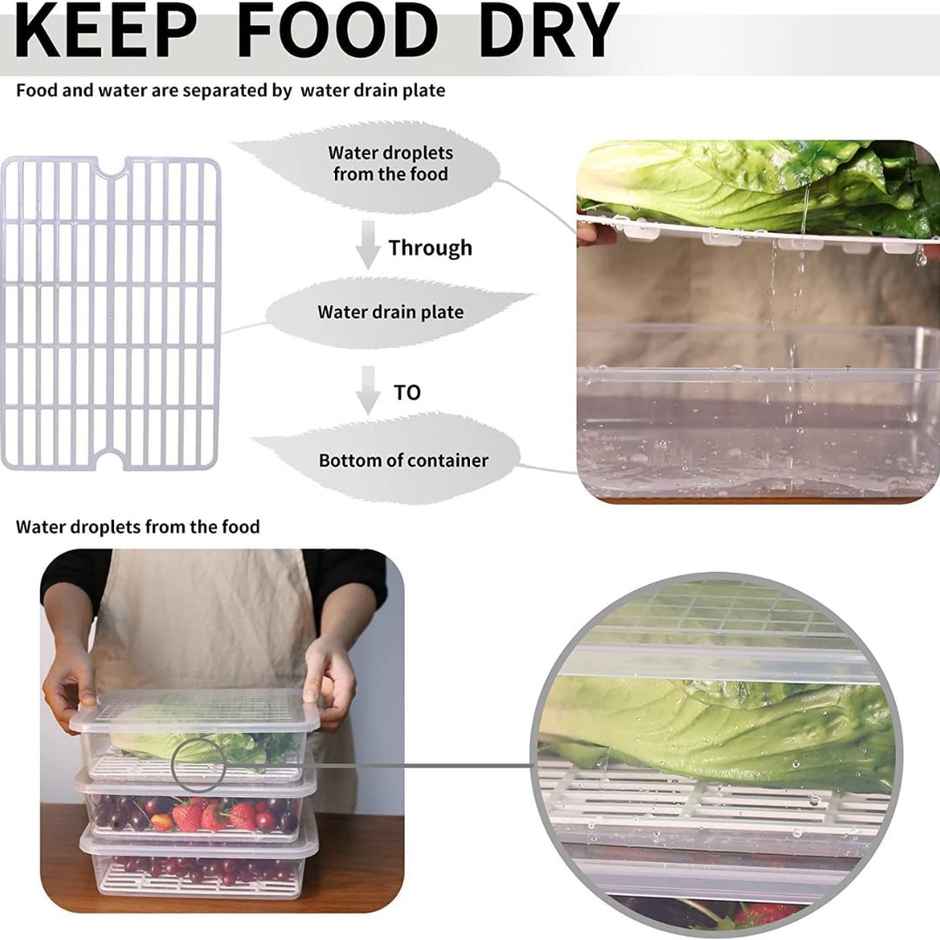 ReeQ Fridge Storage Box Large Vegetable and Fruit Organizer with Lid - 2 L