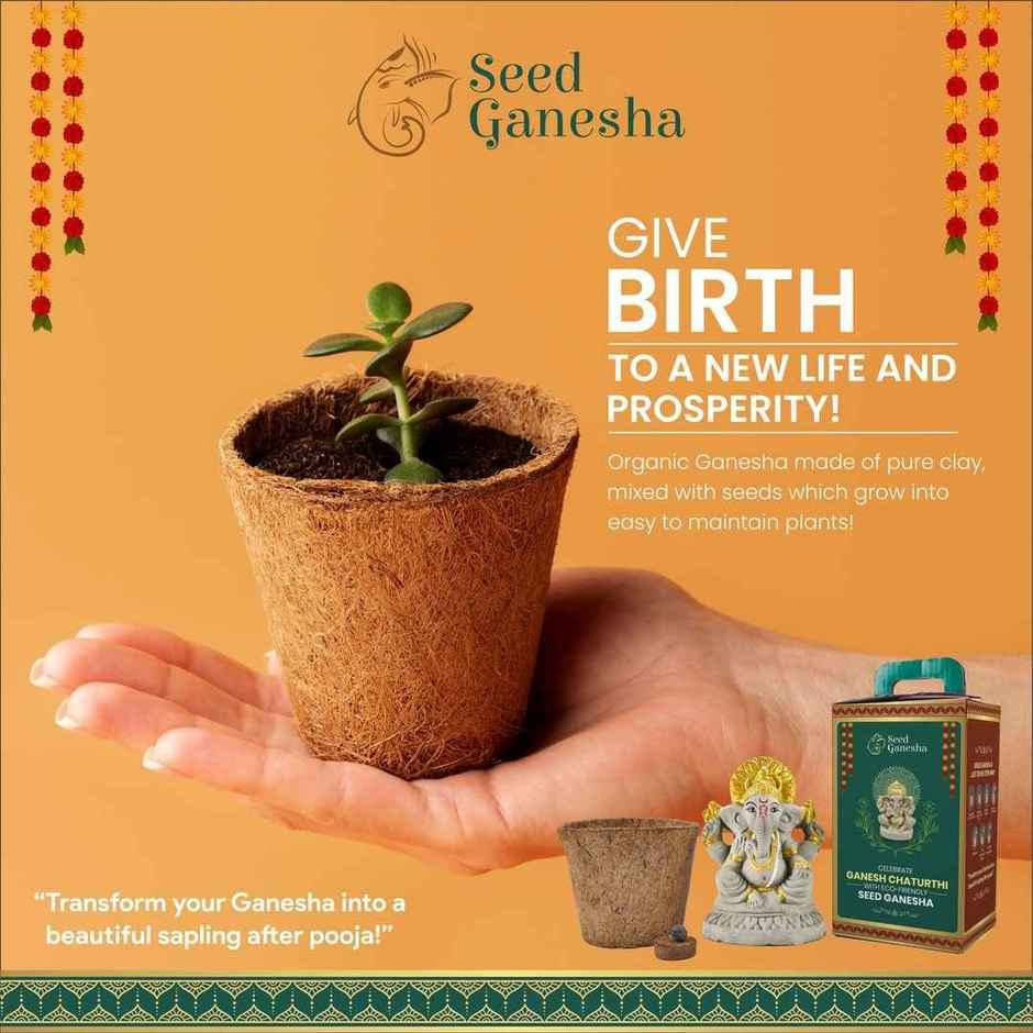 Eco-Friendly | Seed Ganesha Idol | Right Trunk | 8 inch | Dealberg