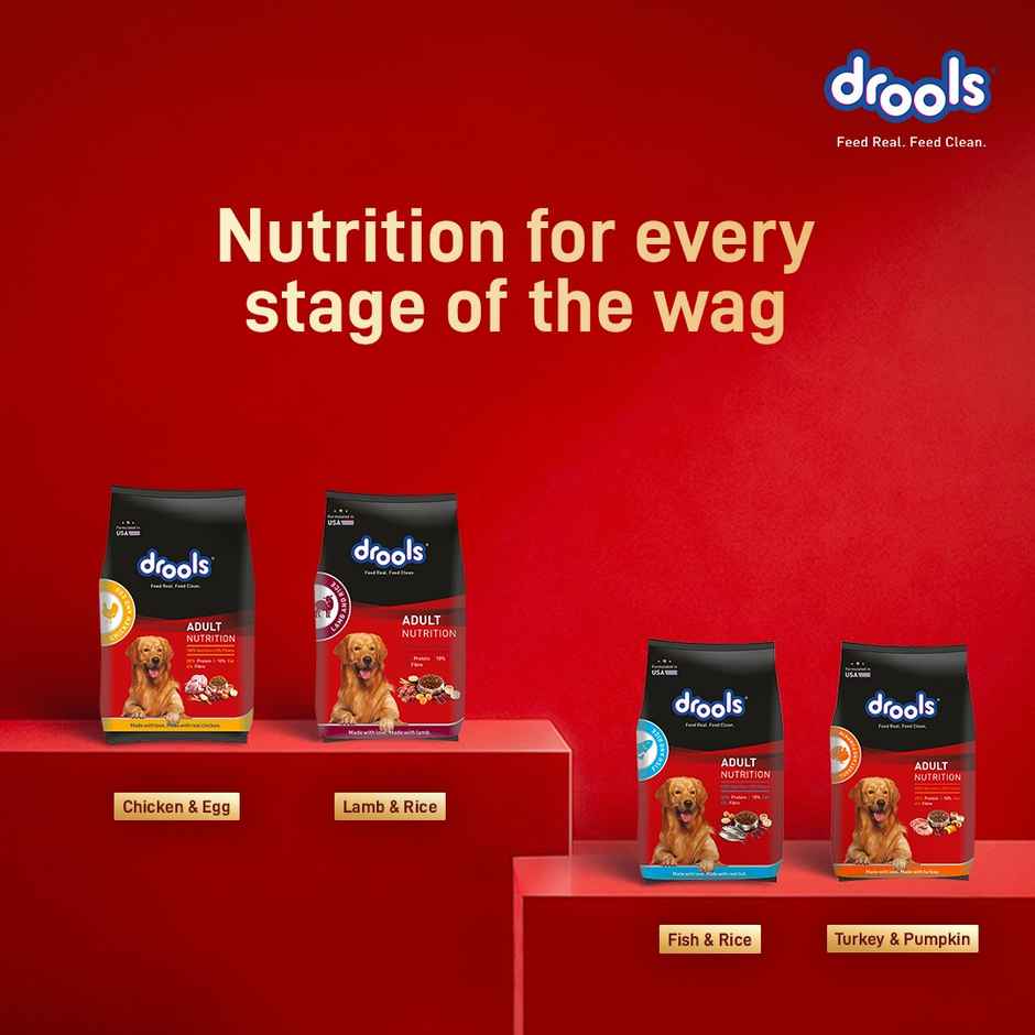 Drools Meat and Milk Puppy Dry Dog Food 1 kg