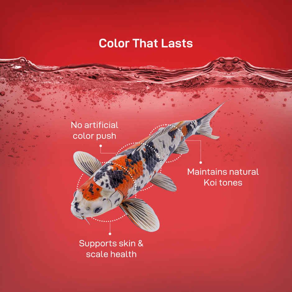 Drools Finsters Koi Fish Food Staple