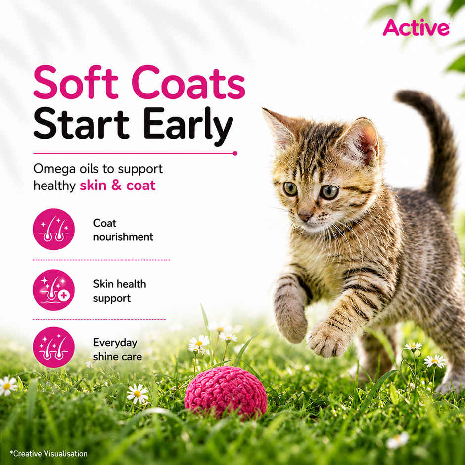 Active Ocean Fish Dry Kitten Cat Food | Buy 1 Get 1 Free