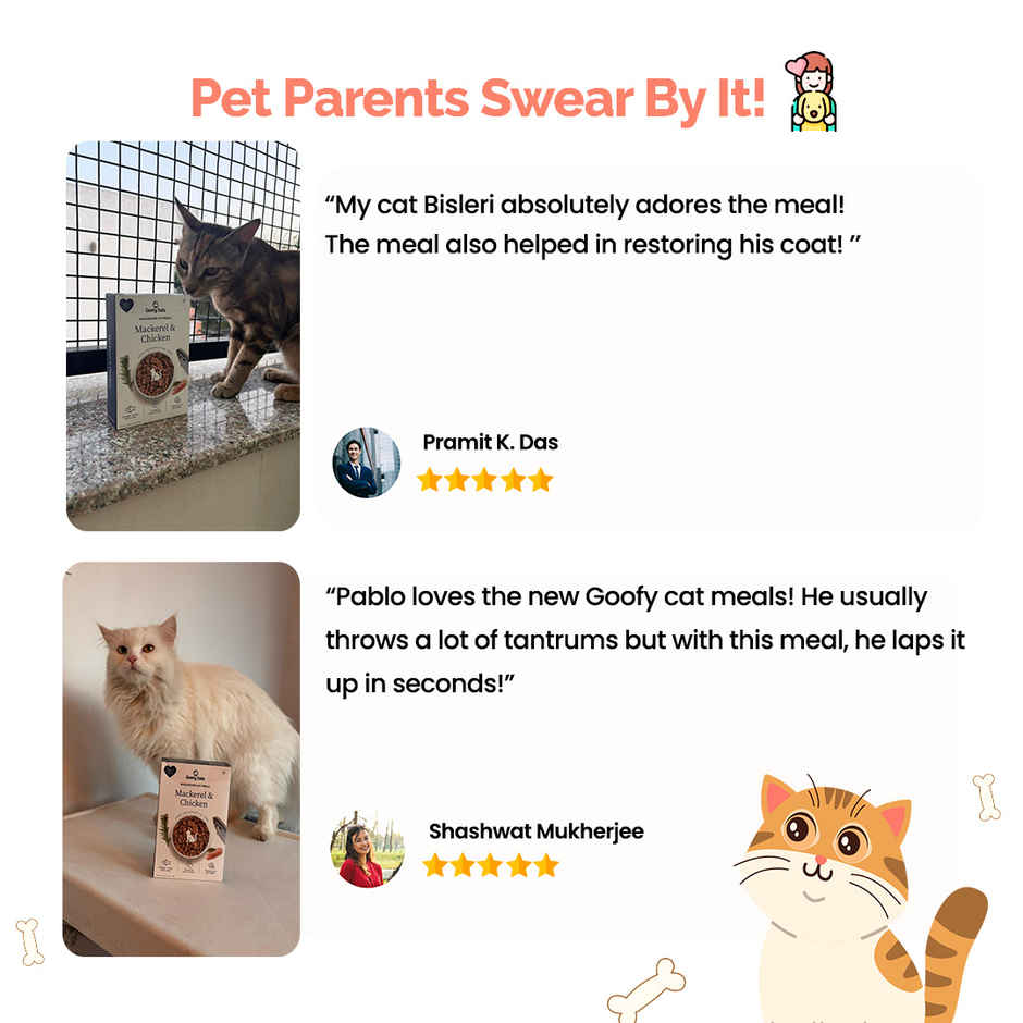 Goofy Tails Mackerel & Chicken Cat and Kitten Meals | Wet Cat and Kitten Food