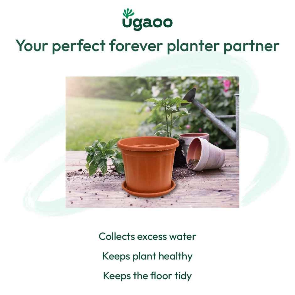 Ugaoo UV Treated Gardening Plastic Tray Plate | Saucer Pots - 10 in | Brown | Terracotta | Set of 6
