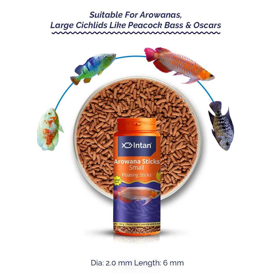 Intan Arowana Sticks Fish FOOD for Arowanas | Large Cichlids like Peacock Bass | Oscars - Small