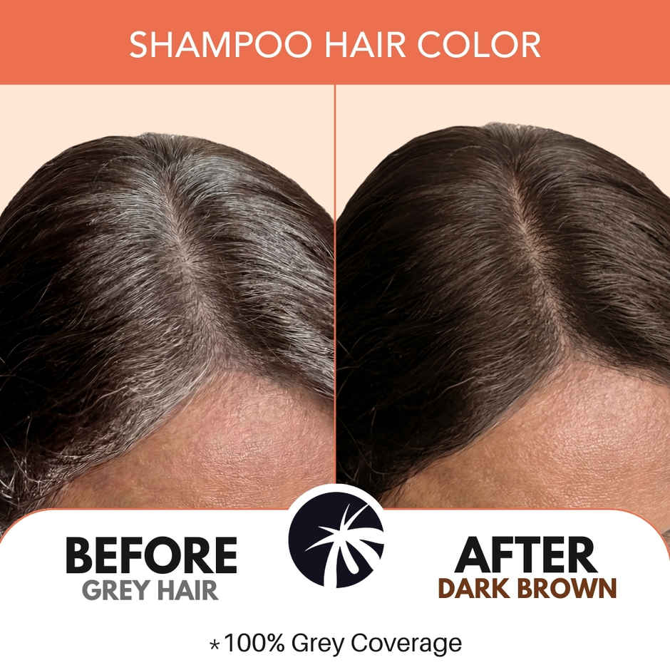 Paradyes Coconut Fix Shampoo No Ammonia Hair Color | Dark Brown 3.0