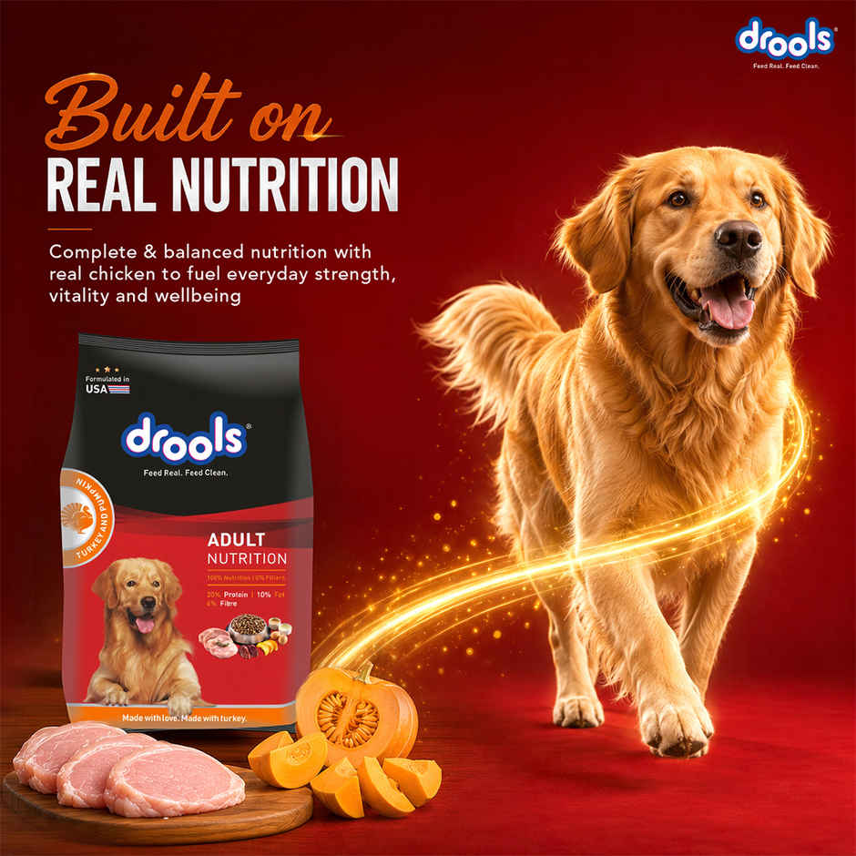 Drools Turkey and Pumpkin Adult Dry Dog Food 1 kg