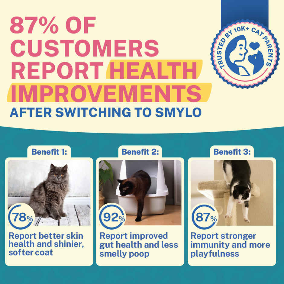 Smylo Kitten Tuna & Salmon Wet Cat  Food, Fresh & Preservative-Free, For Shiny Coat & Healthy Growth Combo