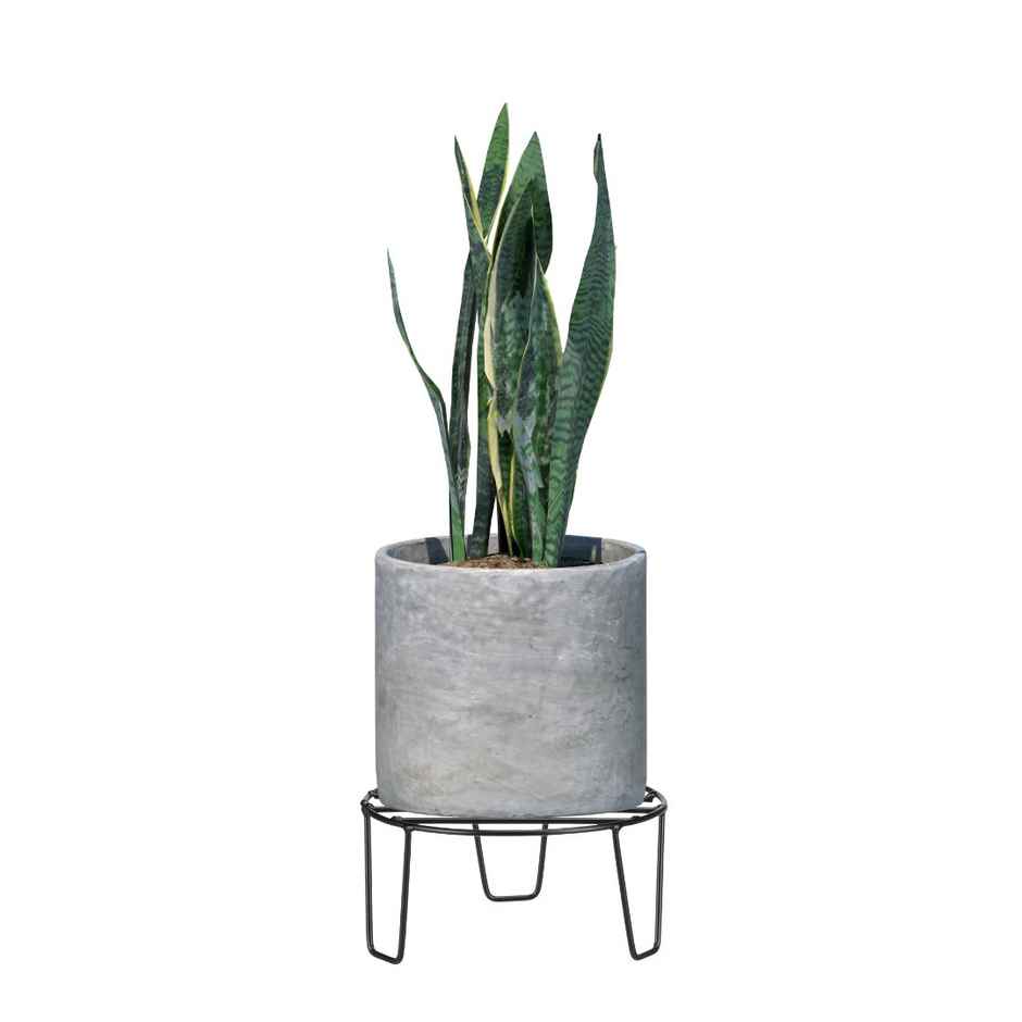 Leafy Tales Iron Indoor/Outdoor Flower Pot/Plant Stand For Home Garden(Black-Round Stand - 7)