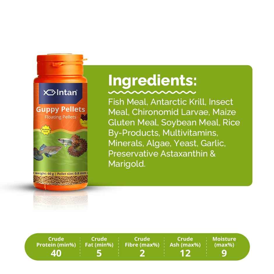 Intan Guppy Pellets - Fish FOOD for Guppies - Small Surface Eating Fish - Floating