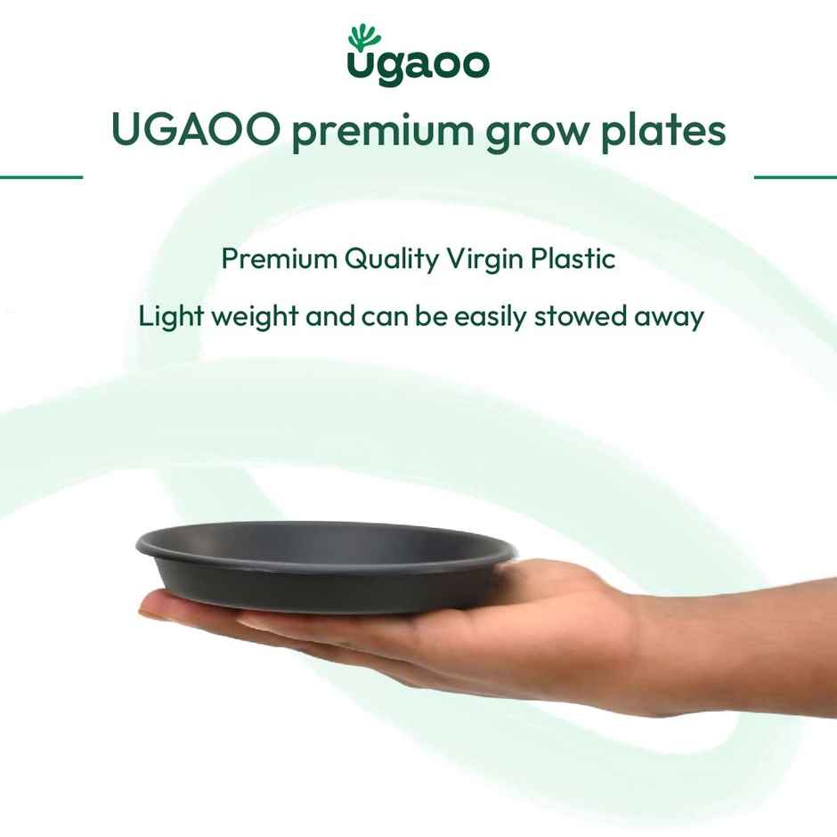 Ugaoo UV Treated Gardening Plastic Tray Plate | Saucer for Pots - 6 in | Black Color | Set of 6