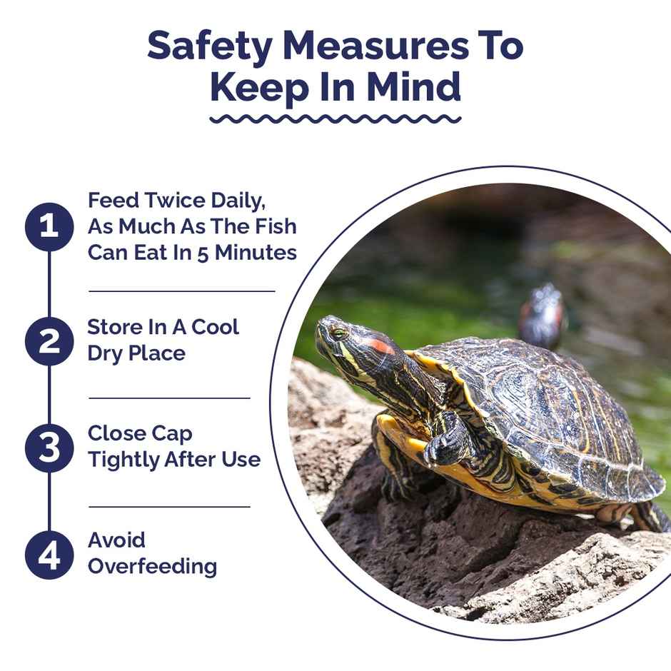 Intan Turtle Sticks - FOOD for Turtles | Amphibians | Newts - Small Floating