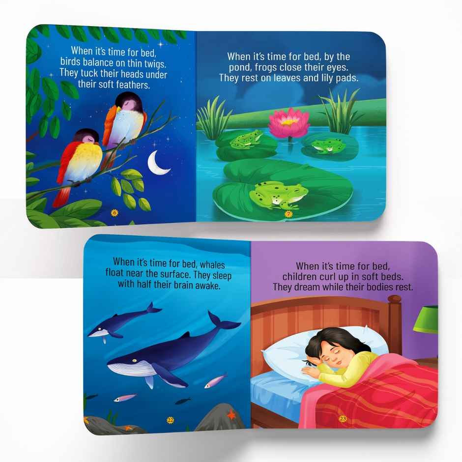 Maple Press When It's Time to Say Goodnight | Illustrated Board Book for Kids | Bedtime Stories | Age 2+ Years