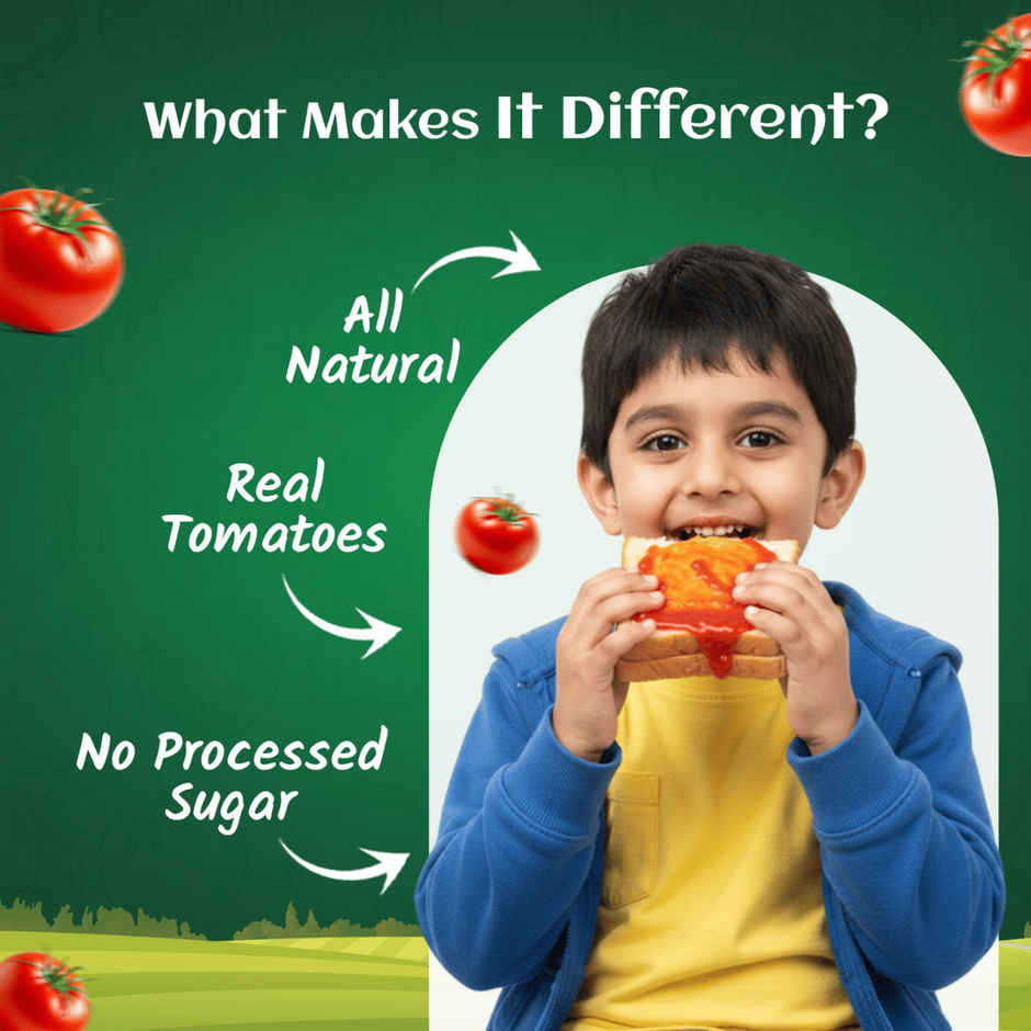 The Little Farm Co. Tomato Ketchup-Sauce | No Added Preservatives
